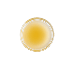 Βιολογικό Μηλόξυδο